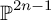 backslash operatorname double struck upper P Superscript 2 n minus 1