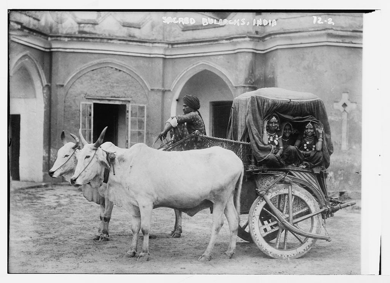 Three women in a bullock cart outside a building, with two oxen pulling the cart. See long description.