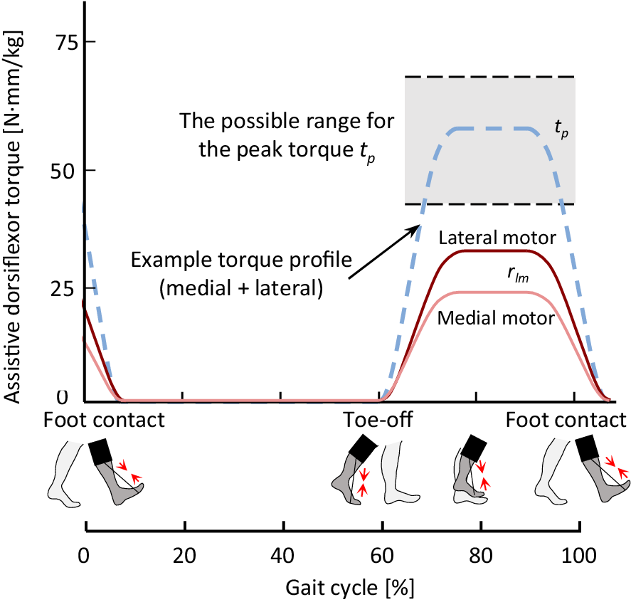Graph of assistive dorsiflexion torque across the gait cycle showing the example dorsiflexion assistive profile in the swing phase, together with medial and lateral motor torque profiles.