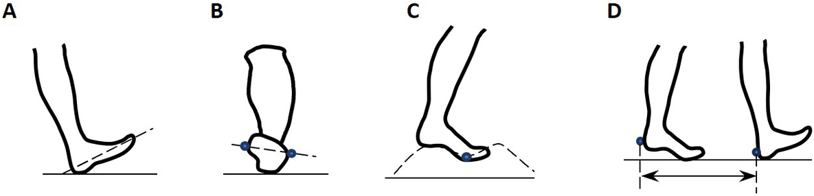 Four schematic illustrations showing foot kinematic measures: foot inclination angle at initial contact, foot inversion angle at initial contact, foot clearance during swing, and step length measured between heel markers.