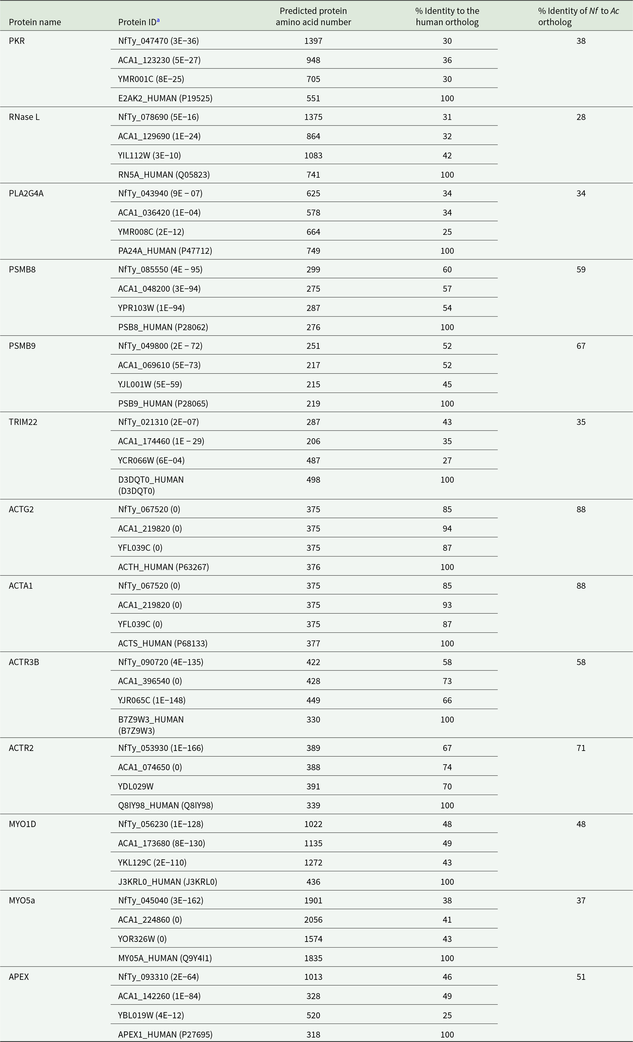 Amoeba actin orthologs show the highest similarity to human proteins, while PKR and RNase L are much less conserved across amoeba and yeast. See long description.