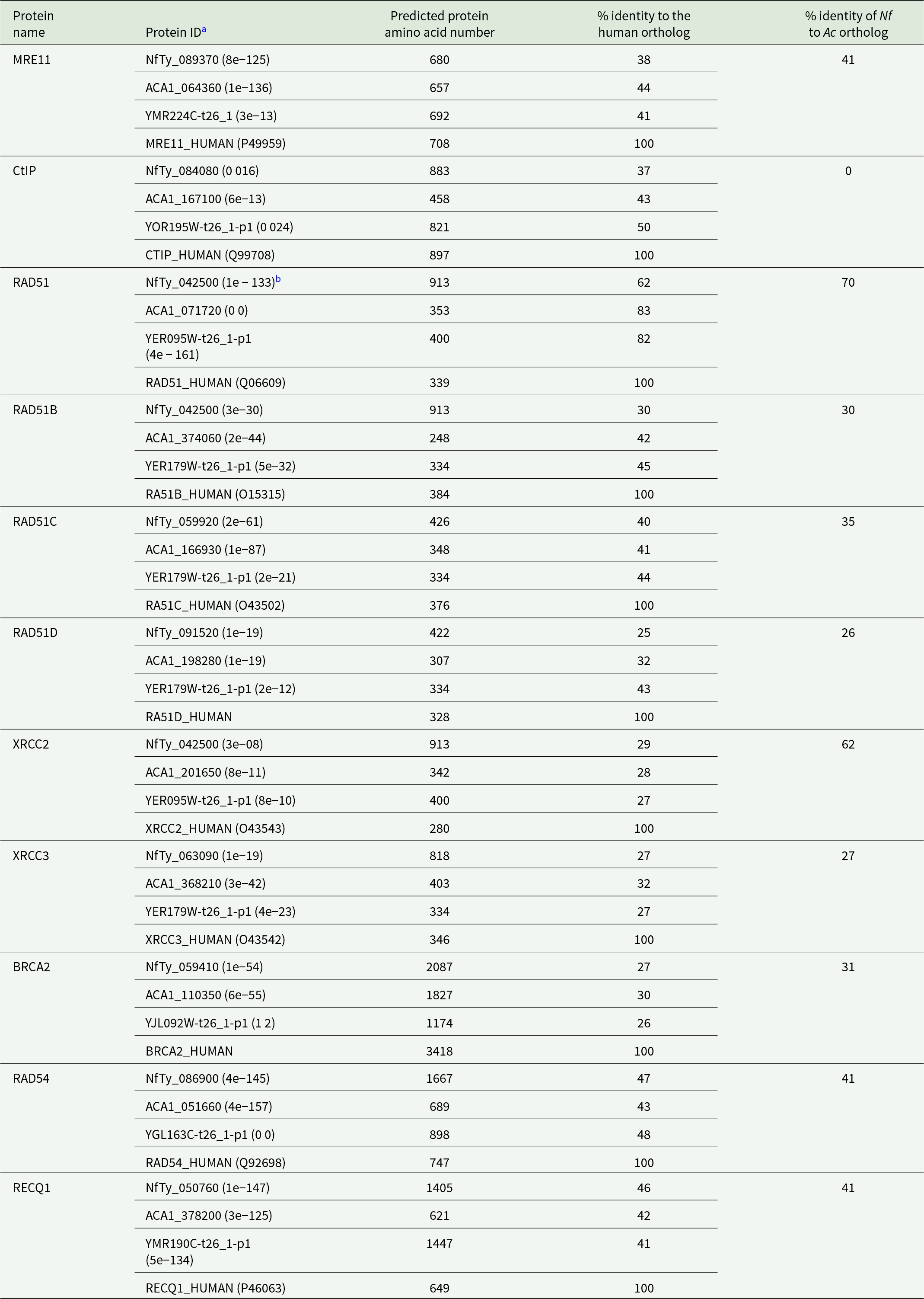 N. fowleri proteins show moderate similarity to human DNA repair proteins, highest for RAD51 at 62 percent identity, while most RAD51 paralogs are about 25 to 40 percent. See long description.