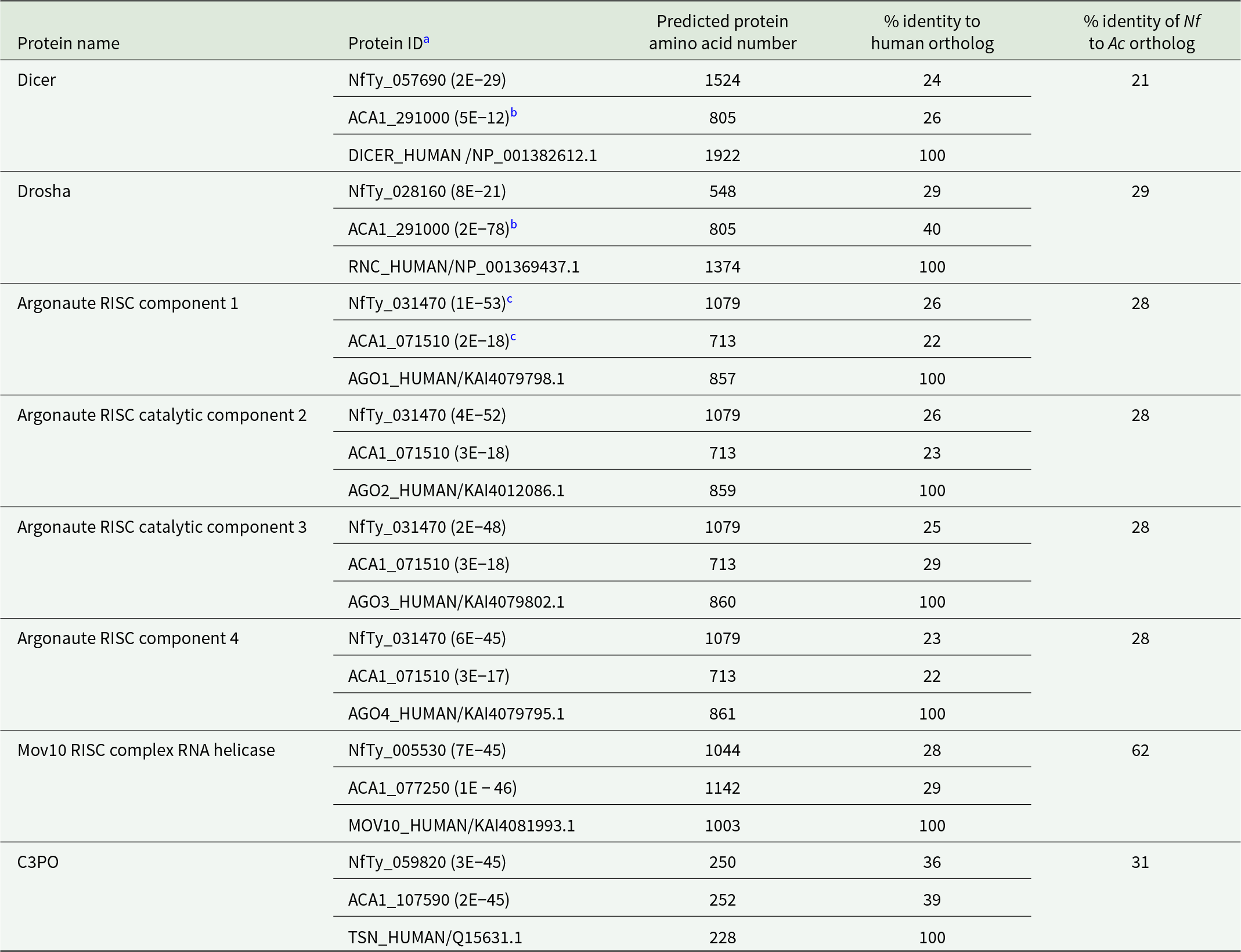 PFLA RNAi proteins show low similarity to human counterparts, with identities mostly in the low to mid 20s to 40 percent and one shared Argonaute candidate in pFLA. See long description.