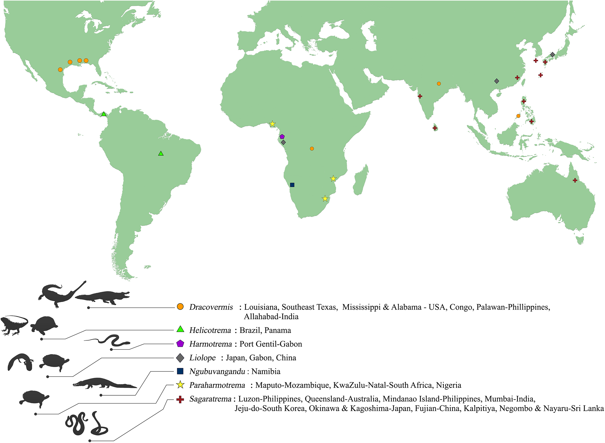 A world map showing the distribution of seven genera within the Liolopidae family, with specific locations marked globally. See long description.