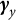 bold italic gamma Subscript y