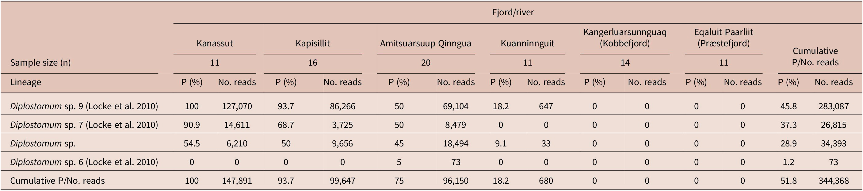 A data table comparing prevalence and sequencing reads of Diplostomum lineages in Arctic char across seven Greenland rivers, with cumulative totals. See long description.