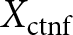 Xctnf