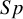 upper S p