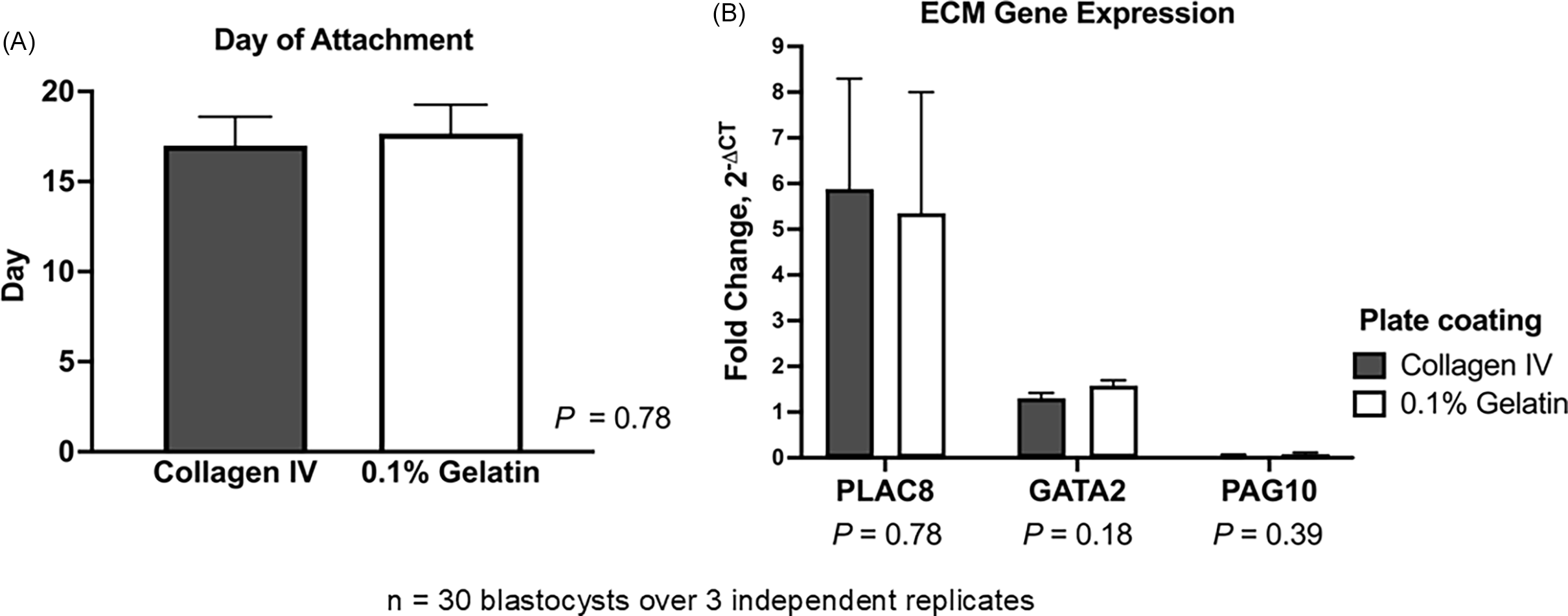 Two bar graphs compare embryo attachment days and gene expression levels on different substrates.