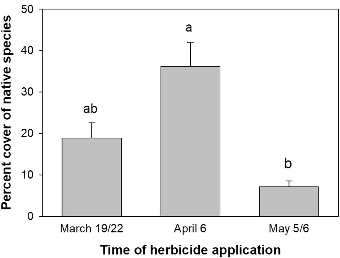 A bar graph showing the percentage cover of native species at one year after herbicide application in mid-June, with data points for March 19/22, April 6, and May 5/6.