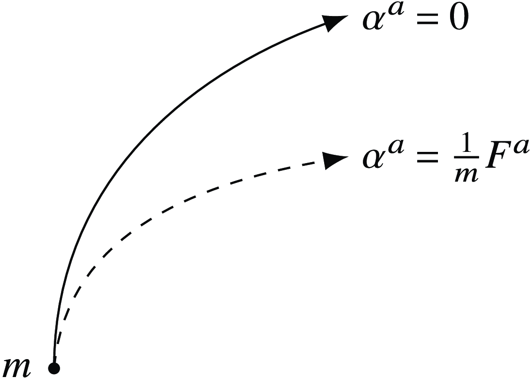 An equation showing acceleration of a massive test particle with and without force.
