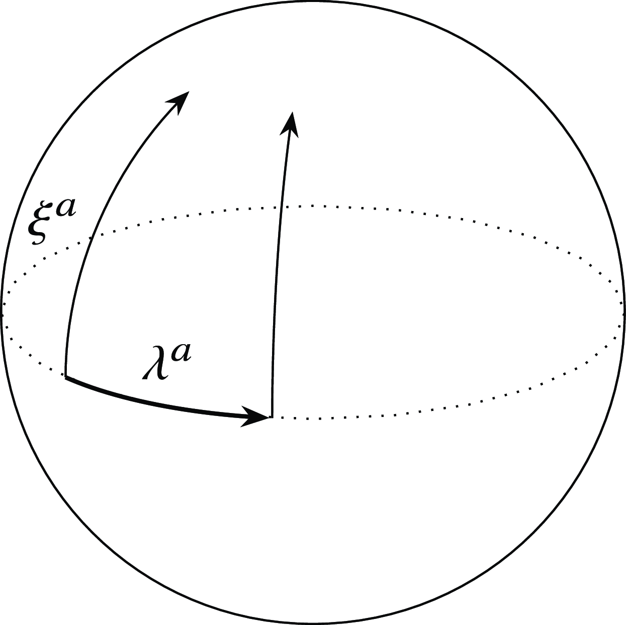 A diagram showing the deviation of a geodesic with respect to a nearby geodesic determined by an orthogonal vector.