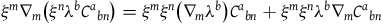 xi Superscript m Baseline nabla Subscript m Baseline left parenthesis xi Superscript n Baseline lamda Superscript b Baseline upper C Superscript a Baseline Subscript b n Baseline right parenthesis equals xi Superscript m Baseline xi Superscript n Baseline left parenthesis nabla Subscript m Baseline lamda Superscript b Baseline right parenthesis upper C Superscript a Baseline Subscript b n Baseline plus xi Superscript m Baseline xi Superscript n Baseline lamda Superscript b Baseline nabla Subscript m Baseline upper C Superscript a Baseline Subscript b n