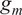 g Subscript m
