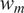 w Subscript m
