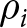 rho i