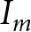 im