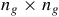 n Subscript g Baseline times n Subscript g
