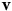 bold v