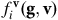 f Subscript i Superscript bold v Baseline left parenthesis bold g bold comma bold v right parenthesis
