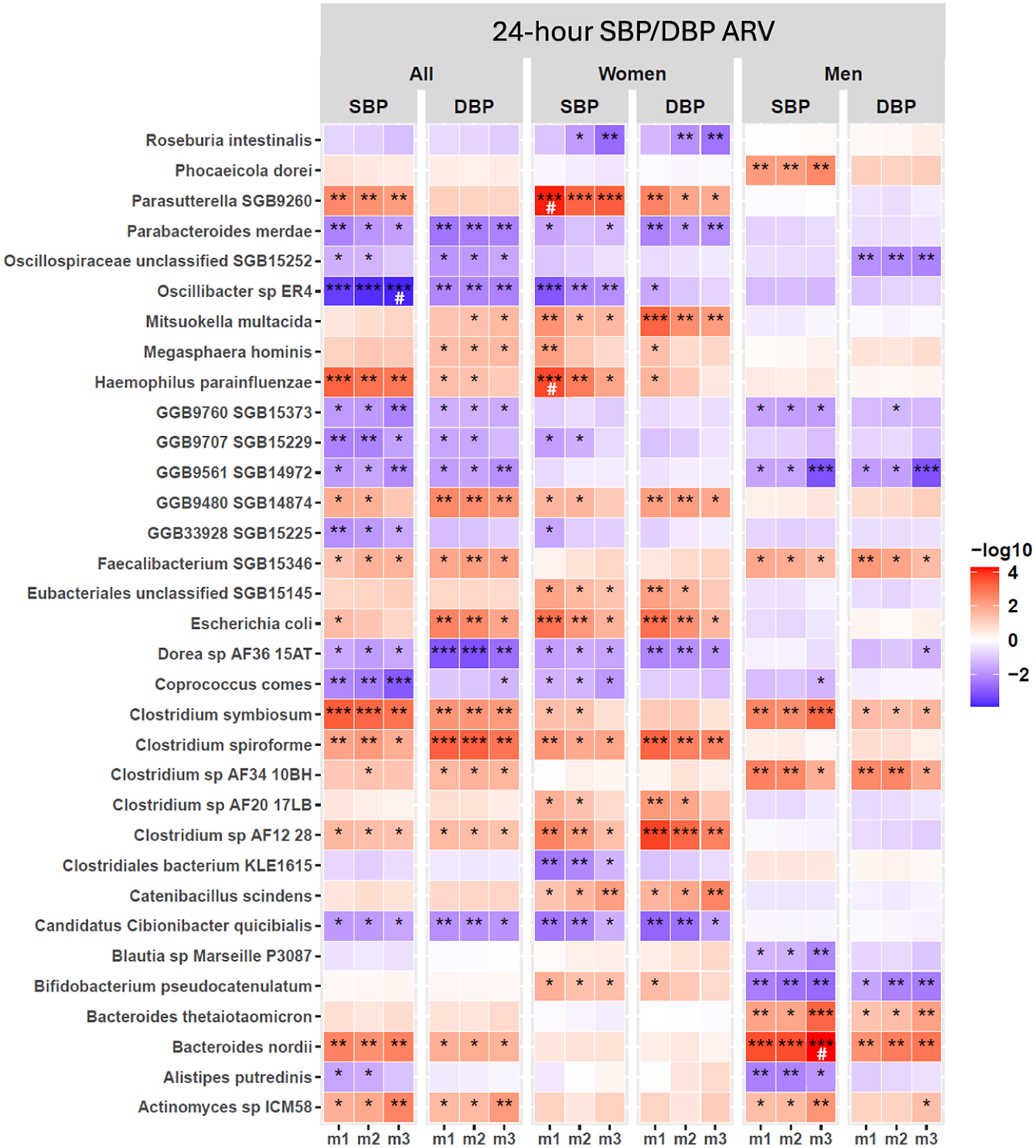 A heatmap showing gut microbiome species associated with 24-hour systolic and diastolic blood pressure variability across all, women, and men cohorts with model-based significance. See long description.