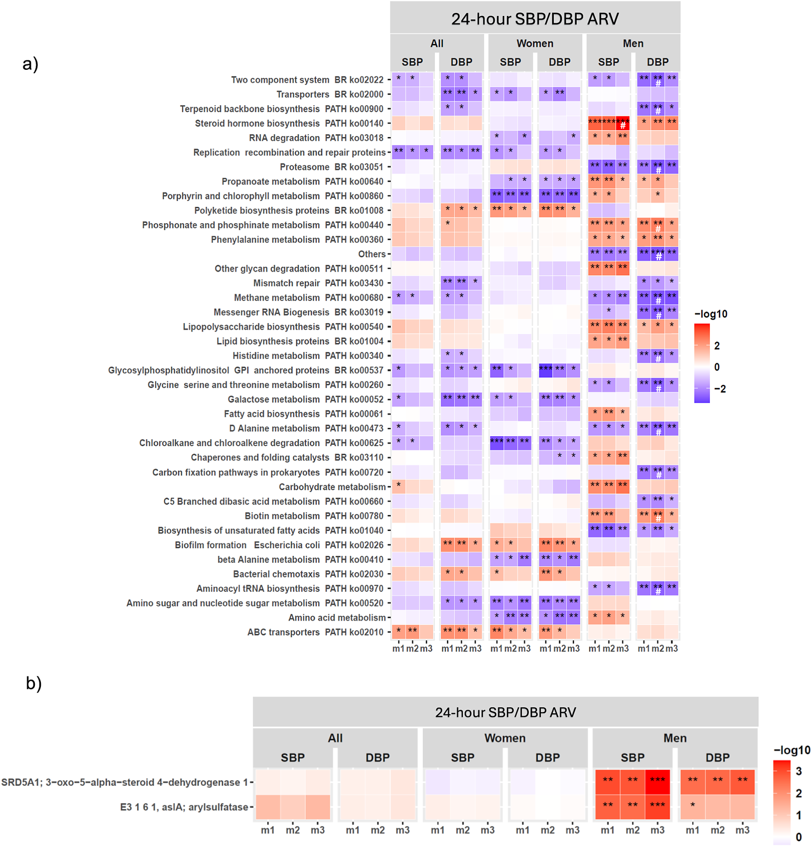 A two-panel heatmap showing associations between gut microbiome KEGG pathways or gene families and 24-hour systolic or diastolic blood pressure variability, stratified by sex and covariate models. See long description.
