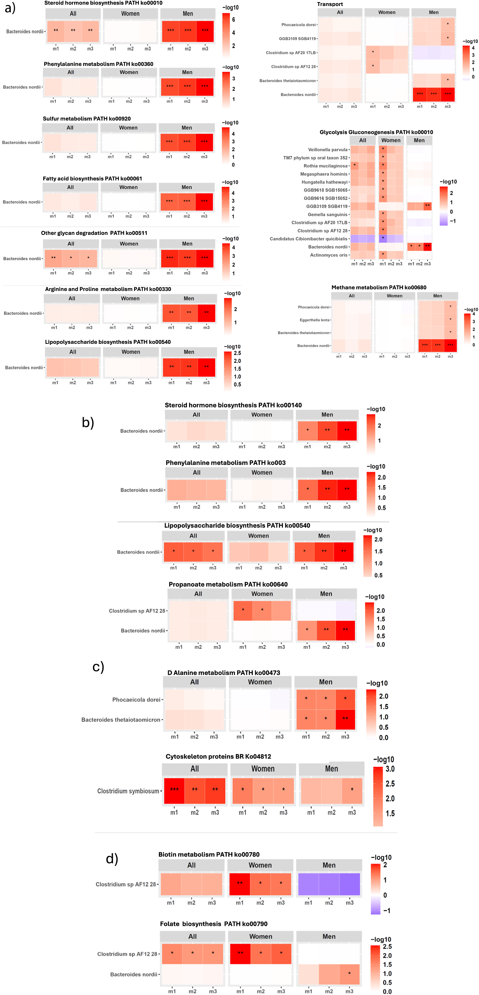A set of heatmaps comparing pathway enrichment across bacterial species and sex groups, with color intensity indicating negative log 10 values for multiple metabolic pathways. See long description.