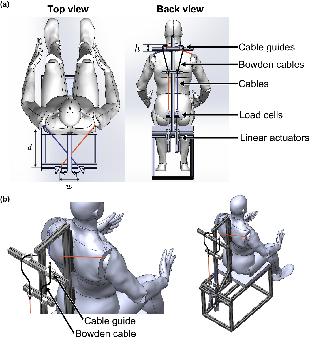 A four-panel technical diagram showing robot cable-driven system configuration and cable guide positioning relative to user anatomy. See long description.
