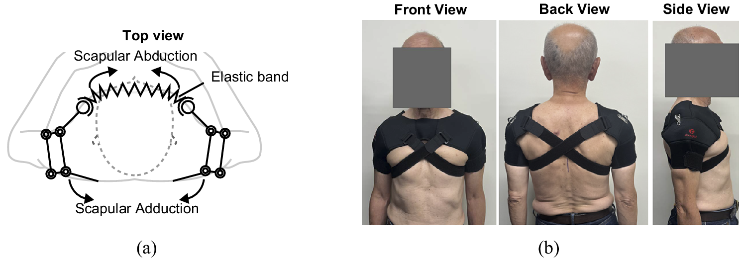 A two-panel layout with a labeled shoulder brace schematic on the left and three photos showing an older person wearing the brace from front, back, and side views. See long description.