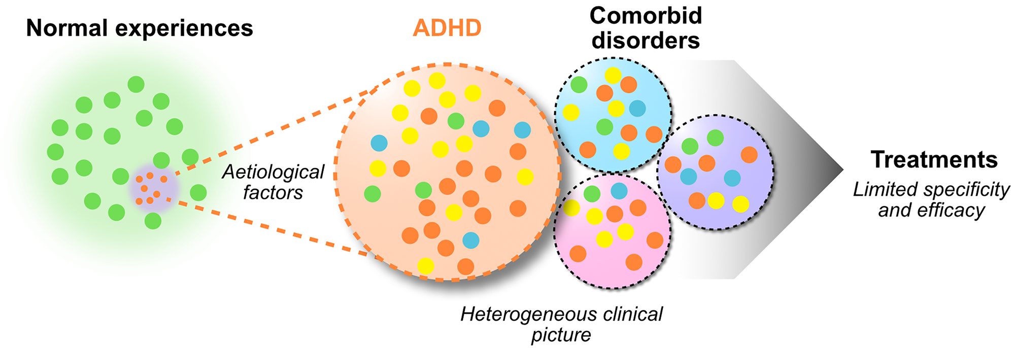 Deconstructing ADHD clinical heterogeneity: causes and consequences. See long description.