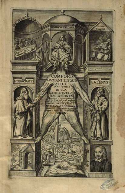 Figure 28