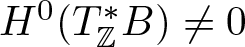 upper H 0 left parenthesis upper T double struck upper Z asterisk upper B right parenthesis not equals 0