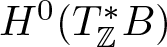 upper H 0 left parenthesis upper T double struck upper Z asterisk upper B right parenthesis
