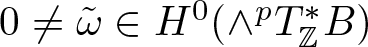 0 not equals omega tilde element of upper H 0 left parenthesis and pT double struck upper Z asterisk upper B right parenthesis