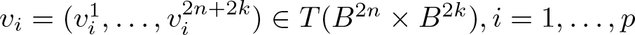 vi equals left parenthesis vi 1 comma ellipsis comma vi 2 n plus 2 k right parenthesis element of upper T left parenthesis upper B 2 n times upper B 2 k right parenthesis comma i equals 1 comma ellipsis comma p