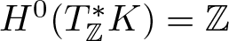 upper H 0 left parenthesis upper T double struck upper Z asterisk upper K right parenthesis equals double struck upper Z