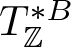 upper T double struck upper Z asterisk upper B