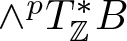 and pT double struck upper Z asterisk upper B