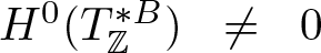 upper H 0 left parenthesis upper T double struck upper Z asterisk upper B right parenthesis not equals 0