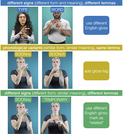 Table-like image with 3 sets of images and text. Top marked by blue; center by yellow and bottom by green. Each set has two images from A S L Signbank (no logo, but teal background evident) with signers signing some A S L word. See long description.
