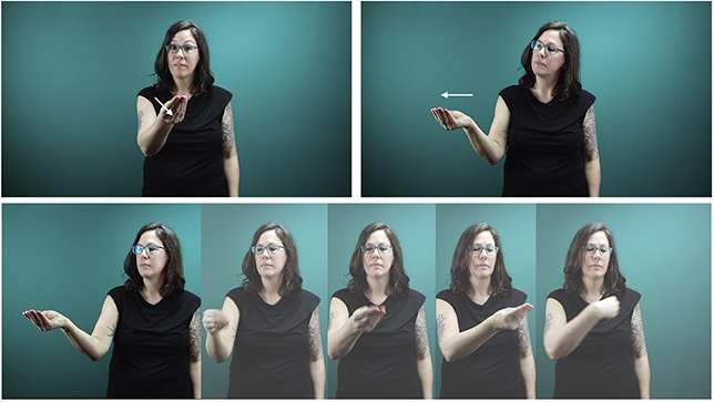 Three sets of images showing Julie signing give in A S L in different ways (top left, straight to camera; top right, to the side; bottom, repeatedly in an arc from one side to the other. See long description.