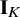 bold upper I Subscript upper K