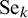 Se Subscript k