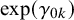 exp left parenthesis gamma Subscript 0 k Baseline right parenthesis