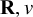 bold upper R comma v