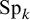Sp Subscript k