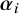 bold italic alpha Subscript i
