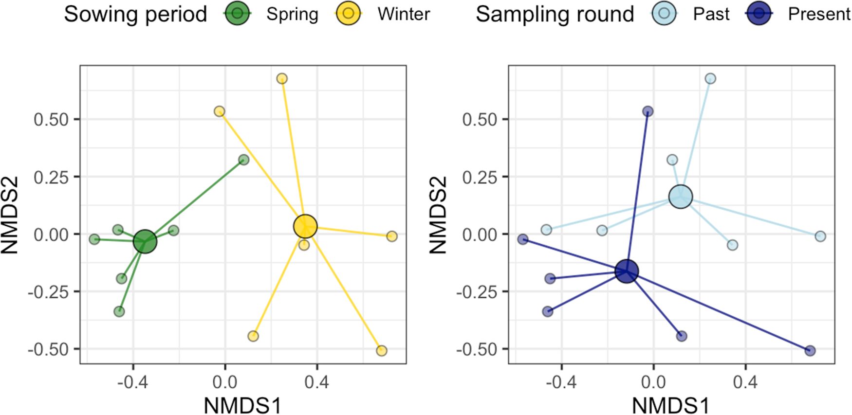 Scatter plots showing NMDS1 vs NMDS2 for sowing period and sampling round, illustrating group separation and dispersion. See long description.