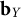 bold b Subscript upper Y
