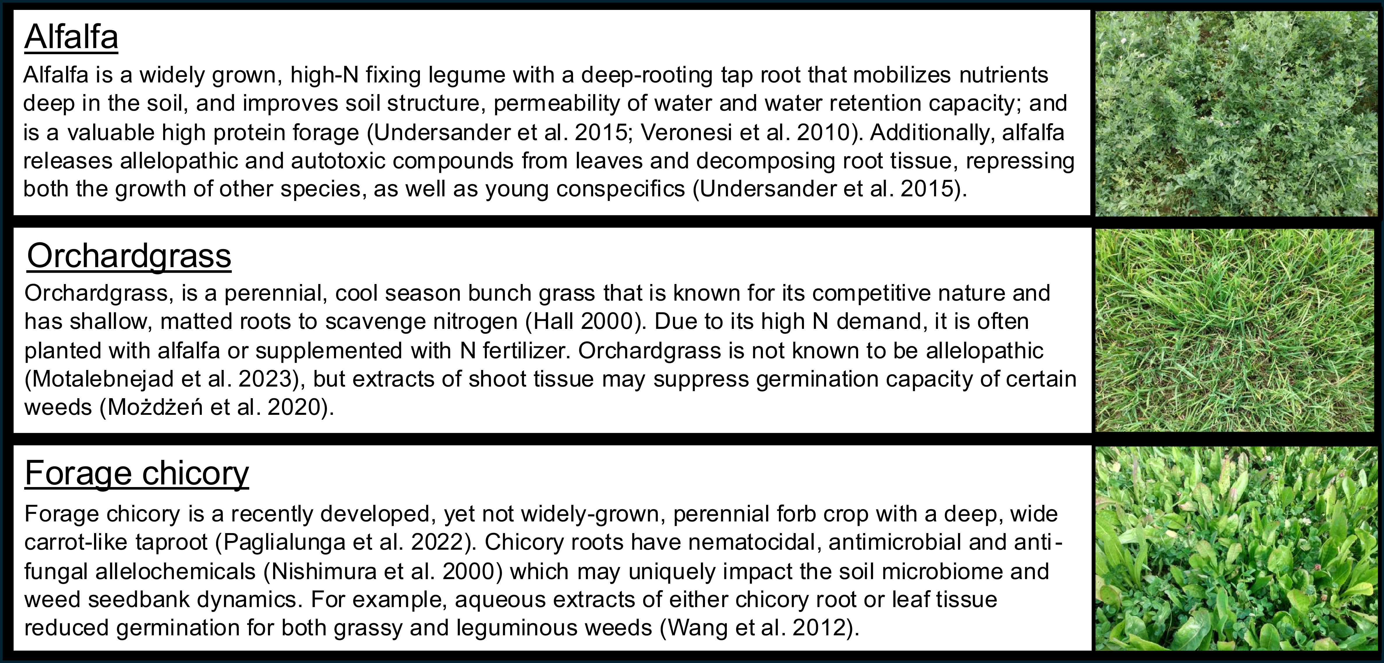 Figure 0